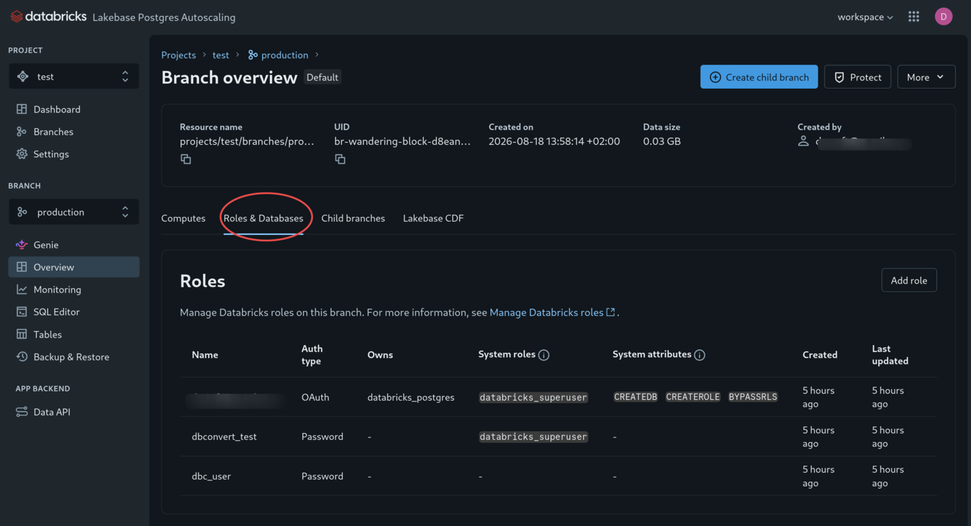 Roles and Databases tab of a Lakebase branch