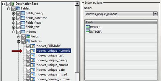 Index options panel
