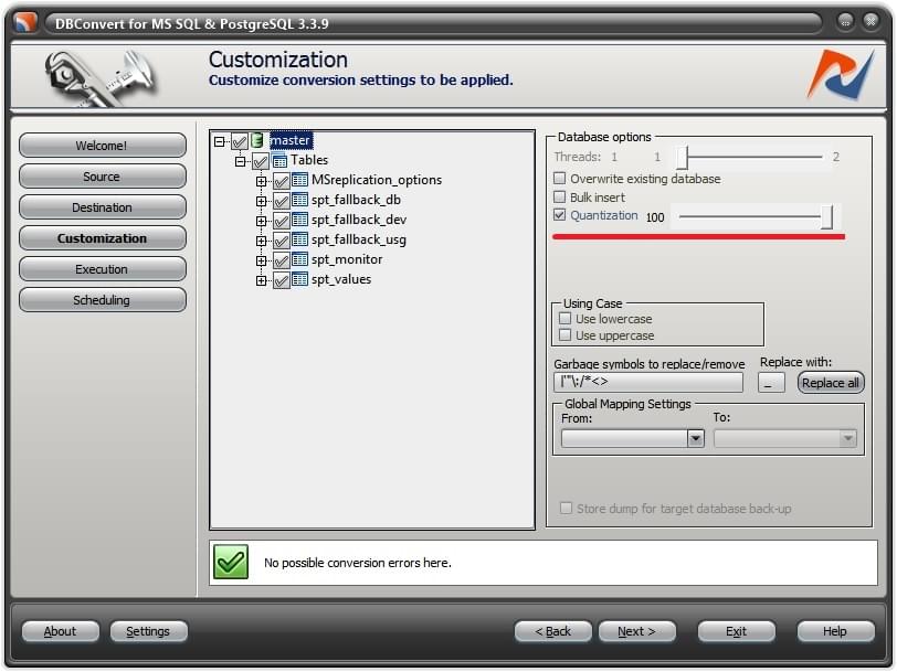 Quantization option at the customization stage