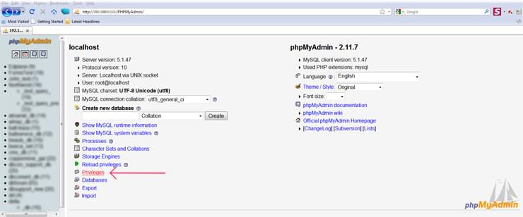 phpMyAdmin Privileges tab